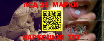 молекула духа Гатчина