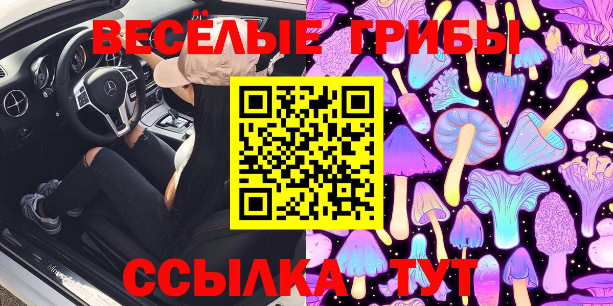 Псилоцибиновые грибы ЛСД  Вход с VPN  Галлюциногенные грибы Psilocybe  купить наркоту  Губаха 