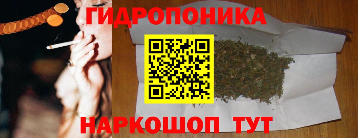 Шишки марихуана MAZAR Губаха